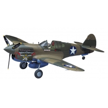 HASEGAWA 08879 1:32 P 40 E WARHAWK