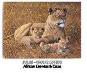 ROYAL PJL26 PBN JR LG AFRICAN LIONESS & CU