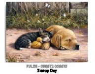 ROYAL PJL28 PBN JR LG SLEEPY DAY