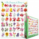 EUROGRAPHICS 6000-0579 THE LANGUAGE OF FLOWERS PUZZLE 1000 PIEZAS