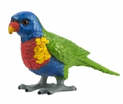 SAFARI 150229 LORO ARCOIRIS
