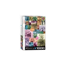 EUROGRAPHICS 6000-0943 60S LOVE COLLECTION PUZZLE 1000 PIEZAS