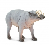 SAFARI 100102 BABIRUSA
