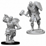 WIZKIDS 73541 D & D NOLZURS MARVELOUS MINIATURES GOLIATH MALE FIGHTER