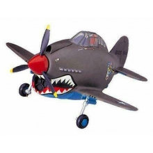 HASEGAWA 60119 EGG PLANE P 40 WARHAWK