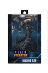 NECA 51717 FIGURA ALIEN VS PREDATOS 7 PULGADAS ARACHNOID