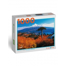 LAPUZZLERA C6CPNC004 PUZZLE PARQUE NACIONAL CONGUILLIO 1000 PIEZAS