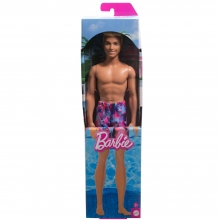 MATTEL HXX52 BARBIE MUECO KEN DE PLAYA CON TRAJE DE BAO ROSA Y AZUL