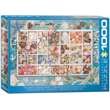 EUROGRAPHICS 6000-5529 SEASHELL COLLECTION 1000 PIEZAS PUZZLE