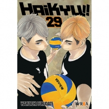 IVREA HAIKYU!! 29