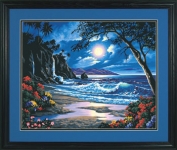 DIMENSIONS 91185 MOONLIT PARADISE PBN 20